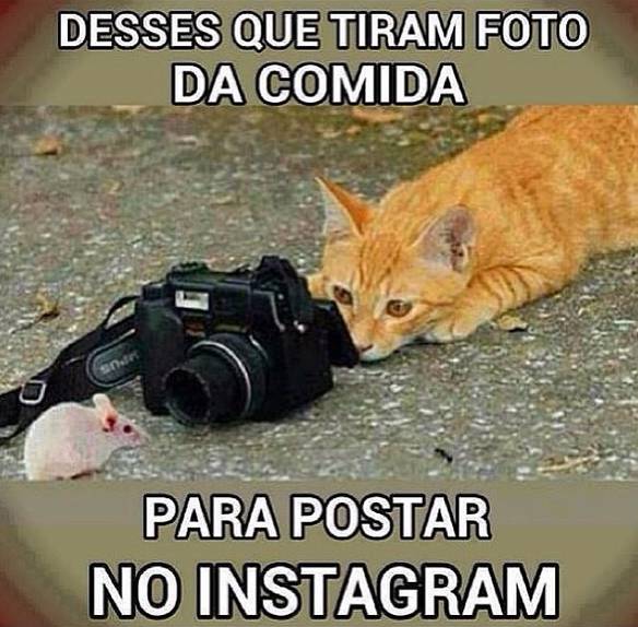 Imagem engraçada Foto da Comida no iPiadas