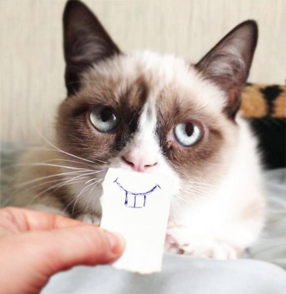 Imagem engraçada Sorriso de Gato no iPiadas