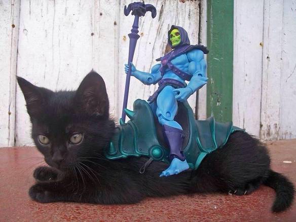 Imagem engraçada Gatinho Panthor no iPiadas
