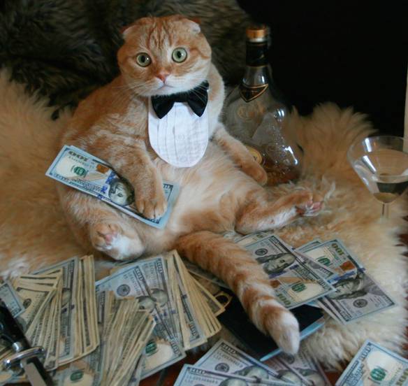 Imagem engraçada Sonho de Toda Mulher: Gato e Rico no iPiadas
