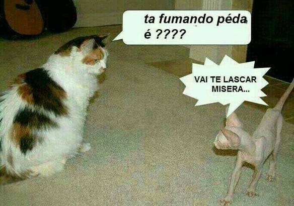 Imagem engraçada Tá Fumando? no iPiadas