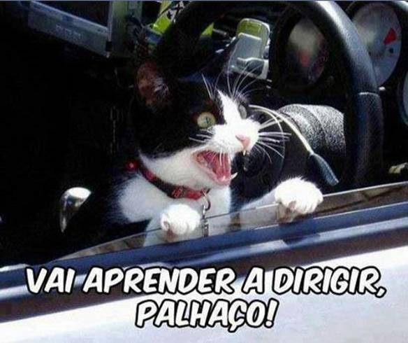 Imagem engraçada Vai Aprender... no iPiadas