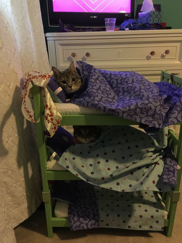 Imagem engraçada Hora de Dormir no iPiadas