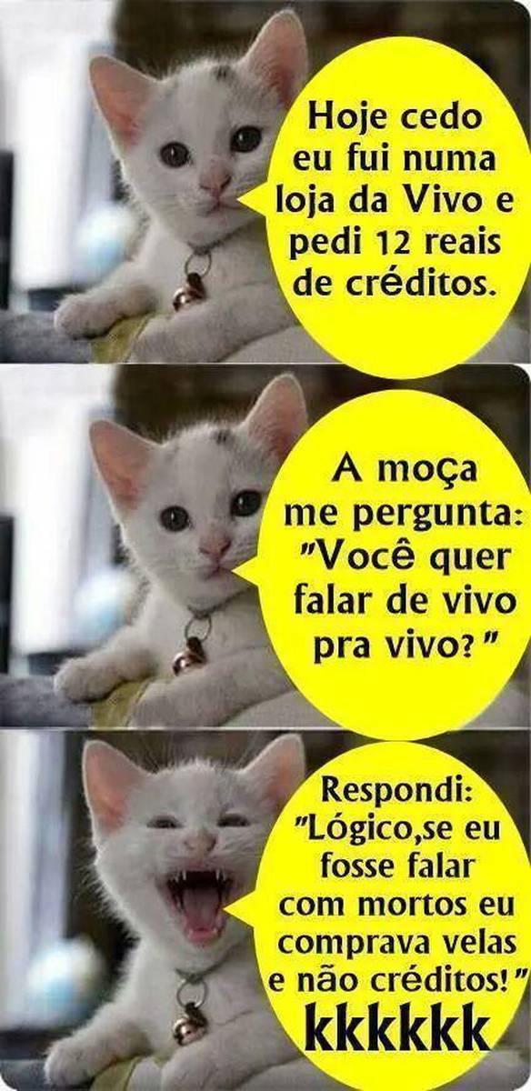 Na Loja da Vivo