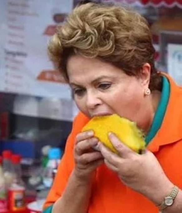 Imagem engraçada O Cão Chupando Manga