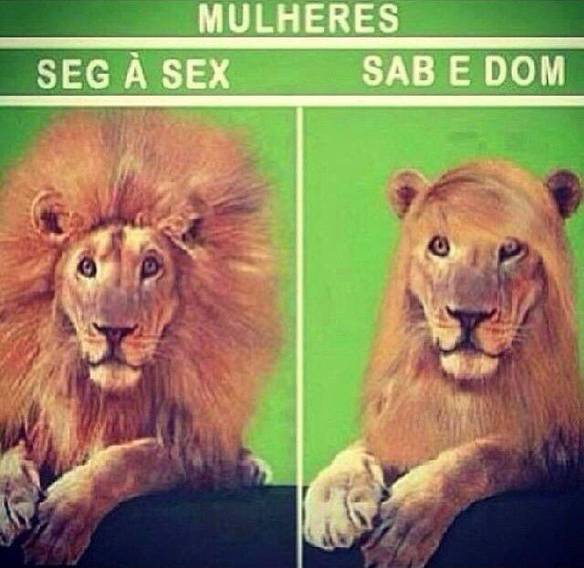 Imagem engraçada Cabelo das Mulheres no iPiadas