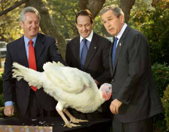 Imagem engraçada Peru do Bush no iPiadas