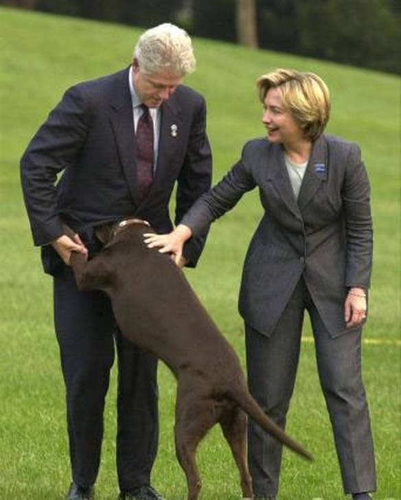 Imagem engraçada Clinton Assediado no iPiadas