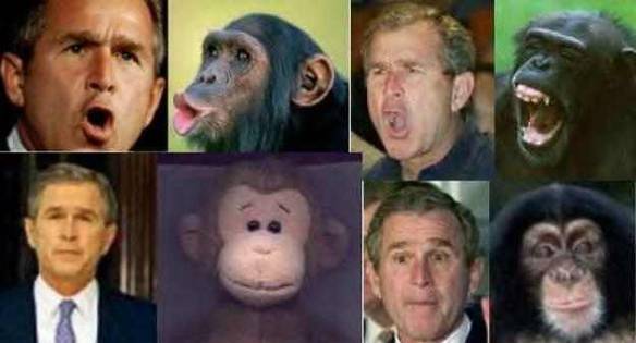 As Faces do Bush