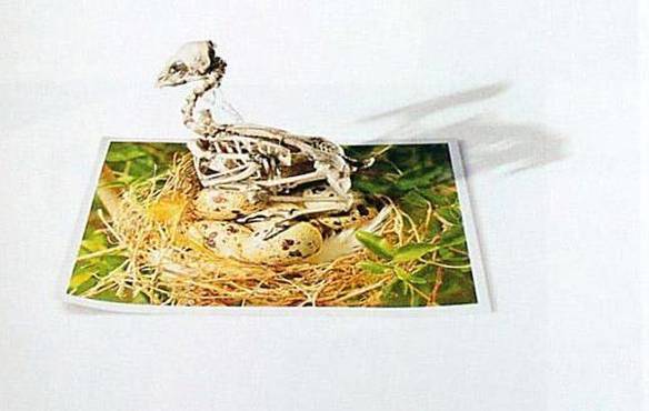 Imagem engraçada Extremamente Realista no iPiadas