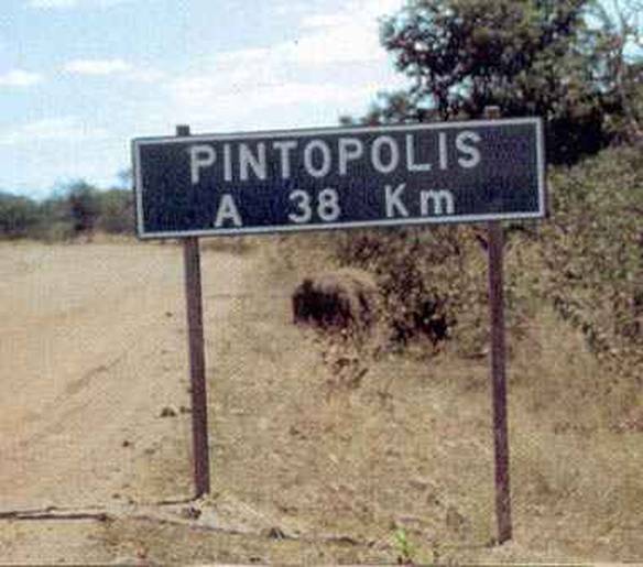 Imagem engraçada Pintopolis no iPiadas