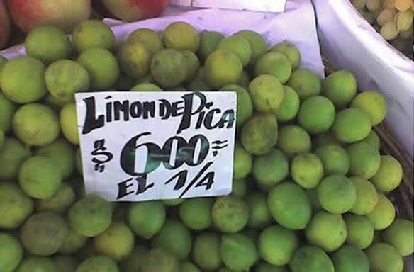 Imagem engraçada Limão de Pica no iPiadas
