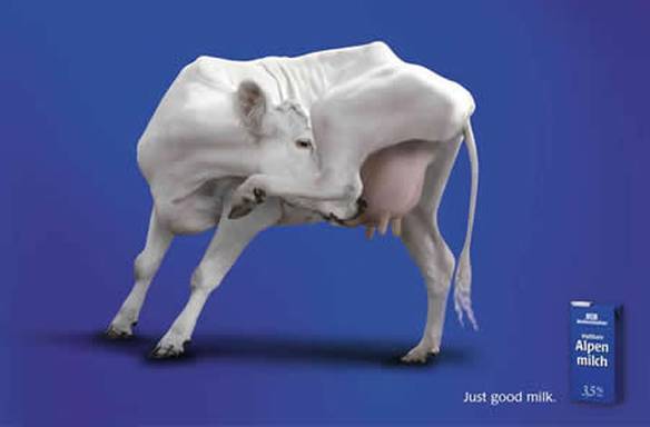 Imagem engraçada O melhor leite no iPiadas