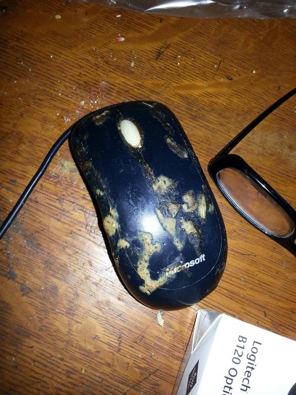Imagem engraçada Mouse Higiênico no iPiadas