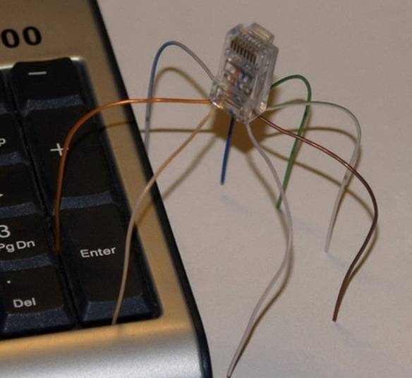 Imagem engraçada Aranha da Rede no iPiadas