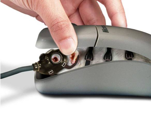 Imagem engraçada Mouse por Dentro no iPiadas