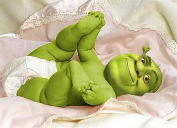 Imagem engraçada Filho do Shrek