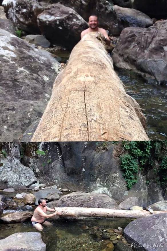 Imagem engraçada Verdadeiro Pau de Selfie no iPiadas