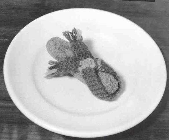 Imagem engraçada Agasalhando o Croquete no iPiadas