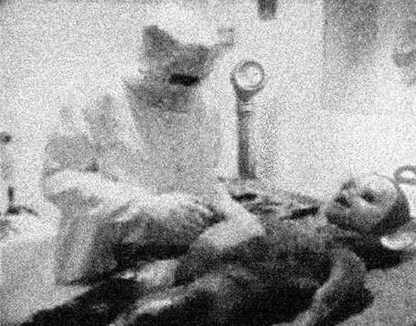 Imagem engraçada Autópsia de Um Extraterrestre no iPiadas