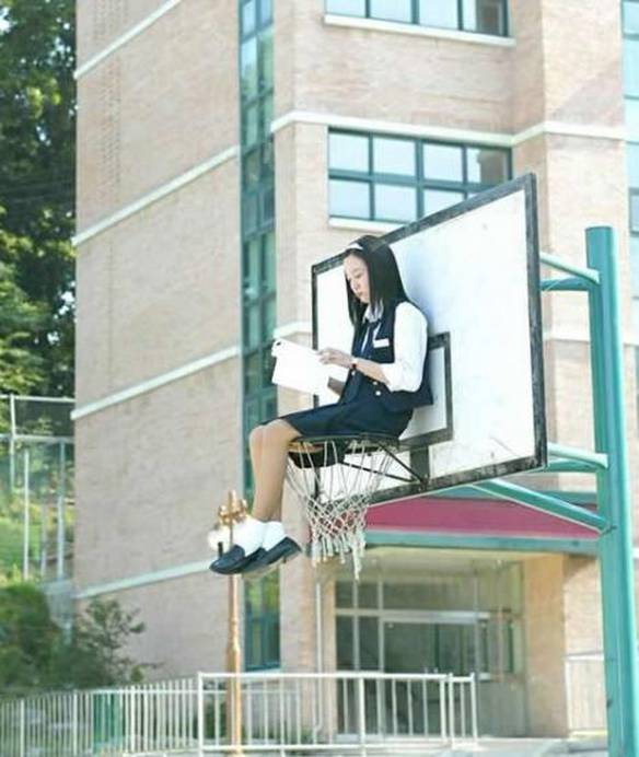 Imagem engraçada Cesta de Estudo no iPiadas