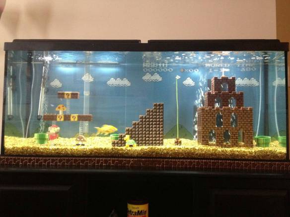Imagem engraçada Super Mario Aquário no iPiadas