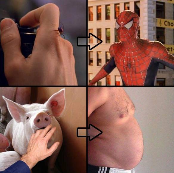 Agora Eu Entendo...