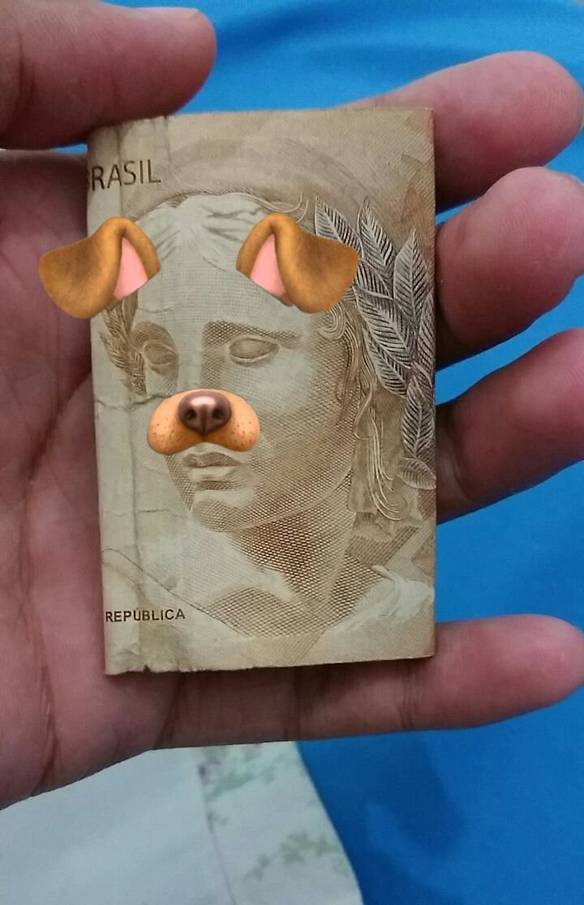 Imagem engraçada Minha Raça de Cachorro Favorita no iPiadas