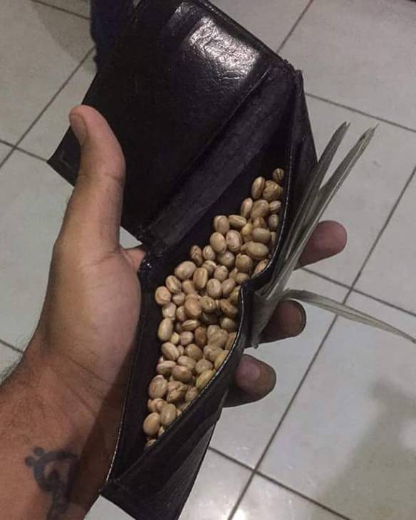 Deus Ajuda Quem Trabalha