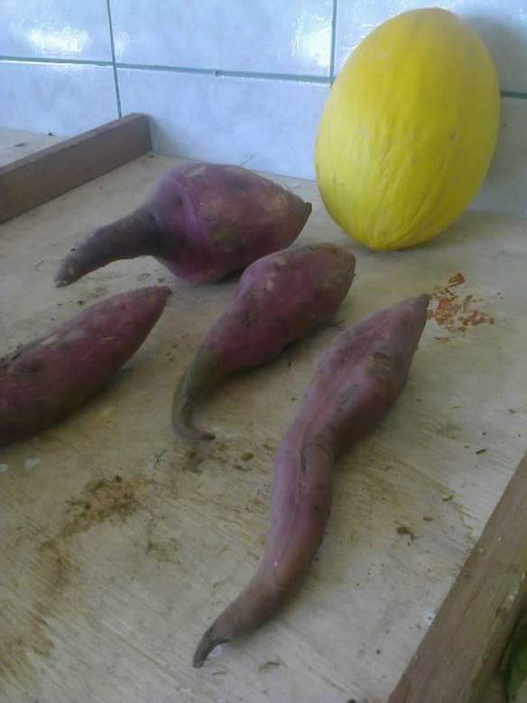 Imagem engraçada E Assim Nasceu Uma Criança no iPiadas