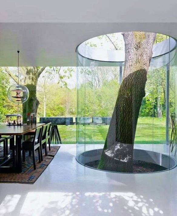 Imagem engraçada Se Adaptando à Natureza no iPiadas