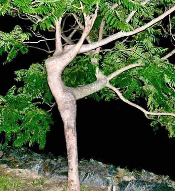 Imagem engraçada Bailarina no iPiadas