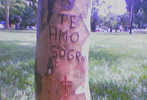 Amor com a sogra