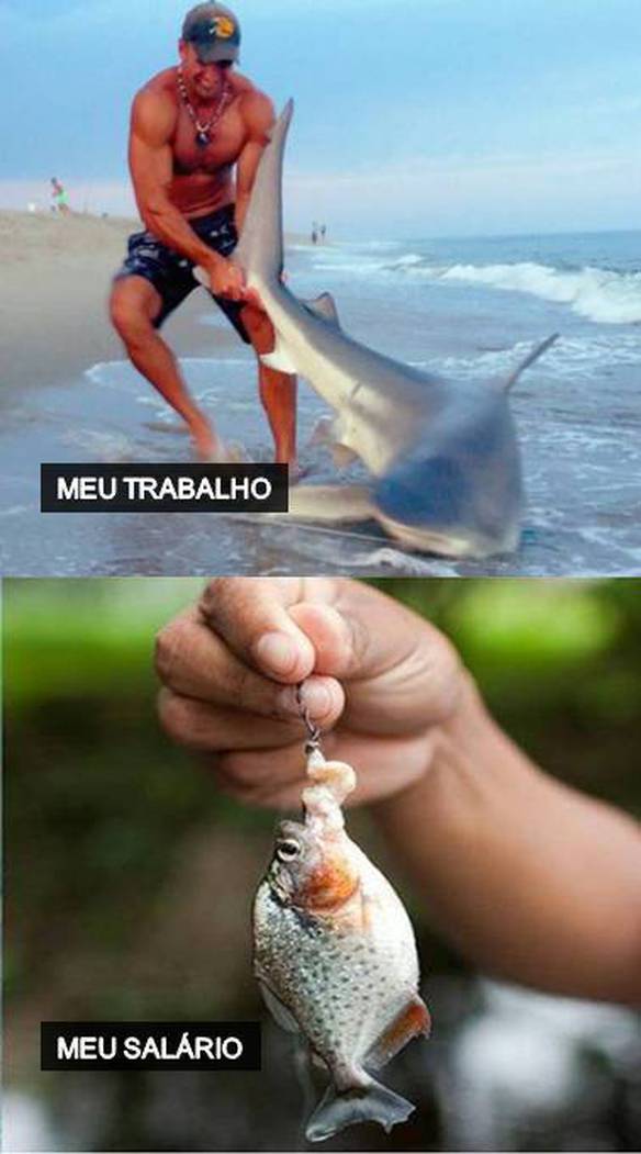 Imagem engraçada Entenda como Funciona Meu Trabalho...
