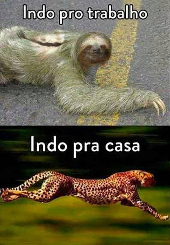 Imagem engraçada Indo e Voltando no iPiadas