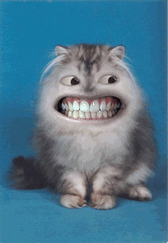 Imagem engraçada Vai Um Sorriso? no iPiadas