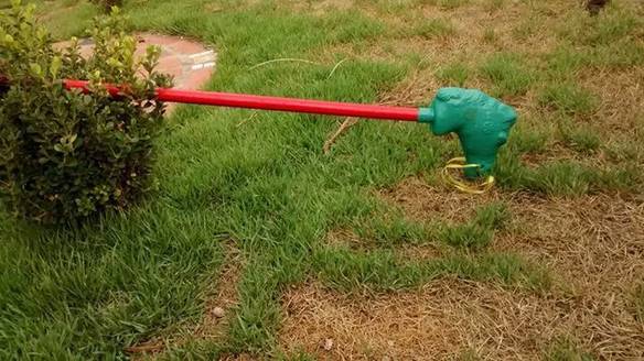 Imagem engraçada Cavalo Pastando no iPiadas