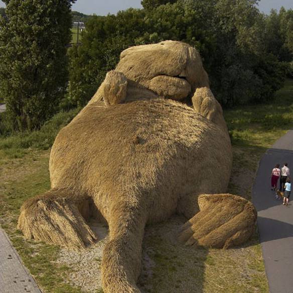 Imagem engraçada Grande Castor no iPiadas