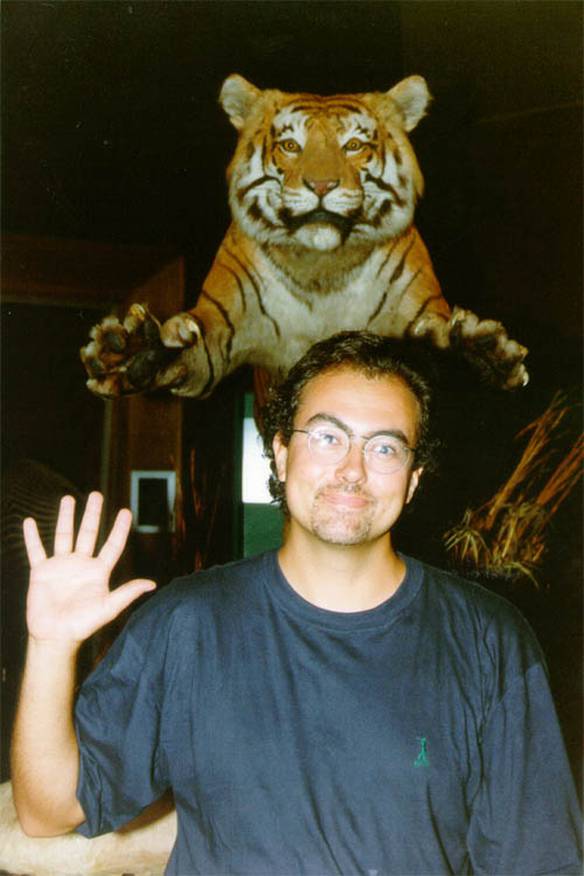 Imagem engraçada Perto do Tigre no iPiadas