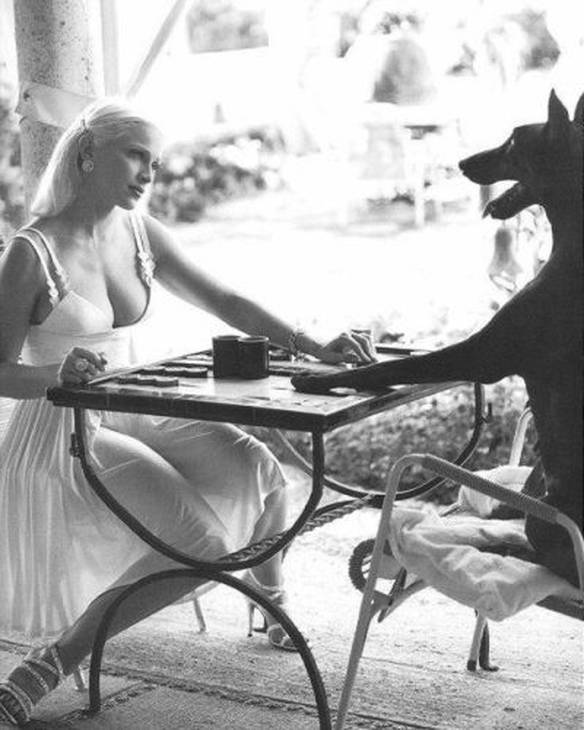 Imagem engraçada Encontro com o Cão no iPiadas