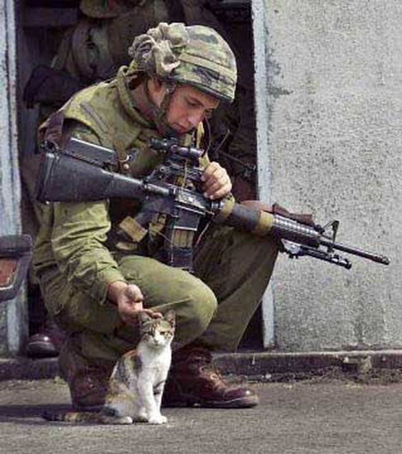 Imagem engraçada Sensibilidade no exército no iPiadas