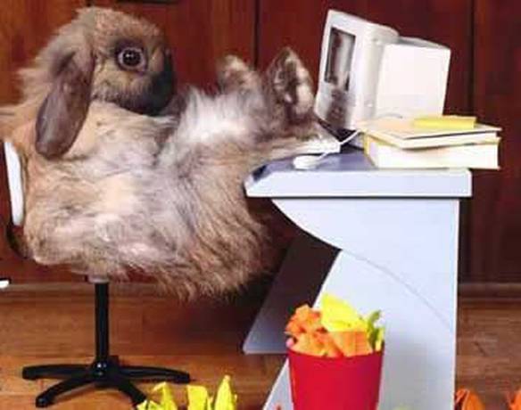 Imagem engraçada Hora do descanço no iPiadas
