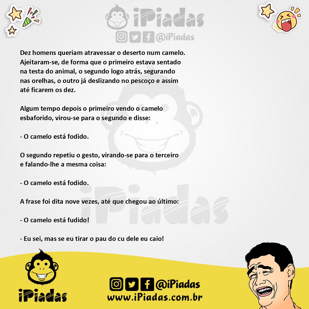 Ilustração da piada Dez num camelo no iPiadas