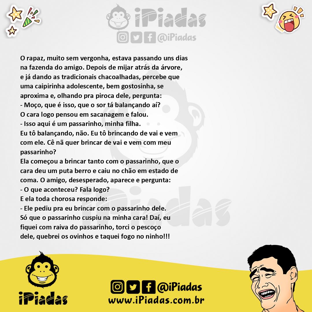 Ilustração da piada Os ovos do passarinho no iPiadas