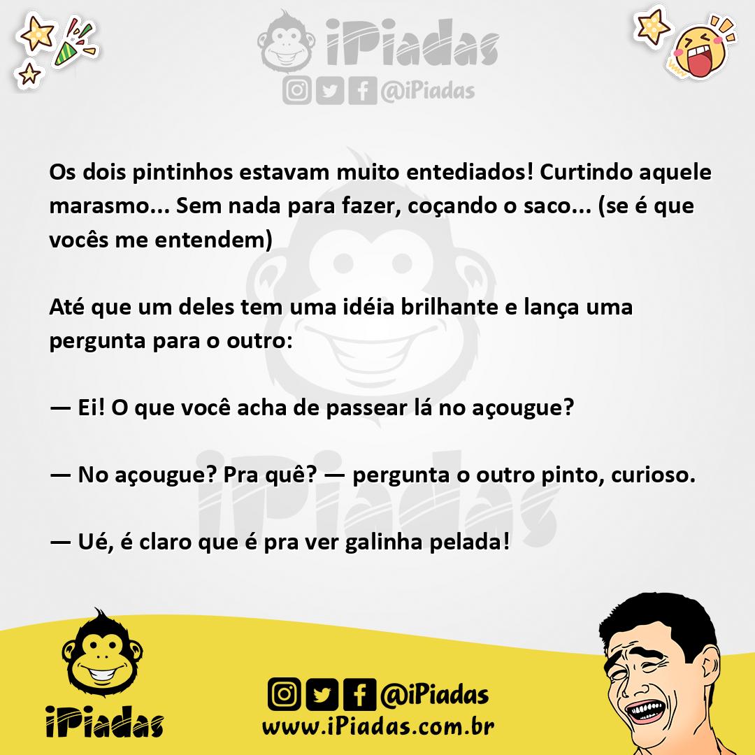 Ilustração da piada Pintos Entediados no iPiadas