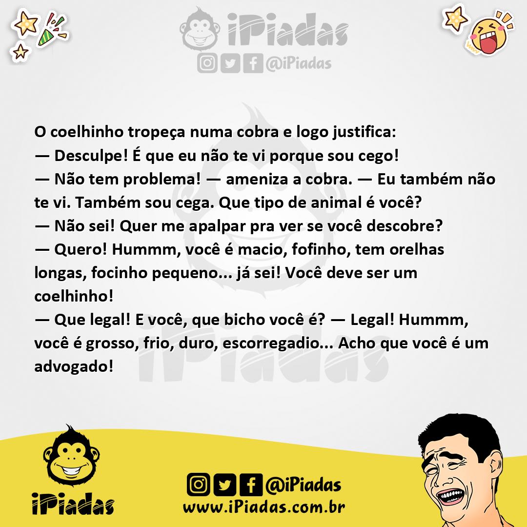 Ilustração da piada Animais Cegos no iPiadas
