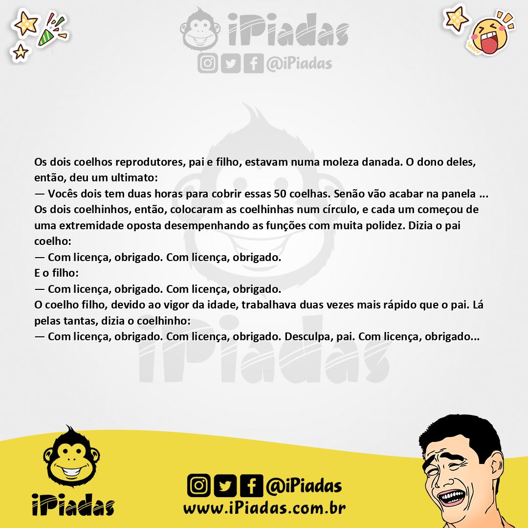 Ilustração da piada 50 Coelhas no iPiadas
