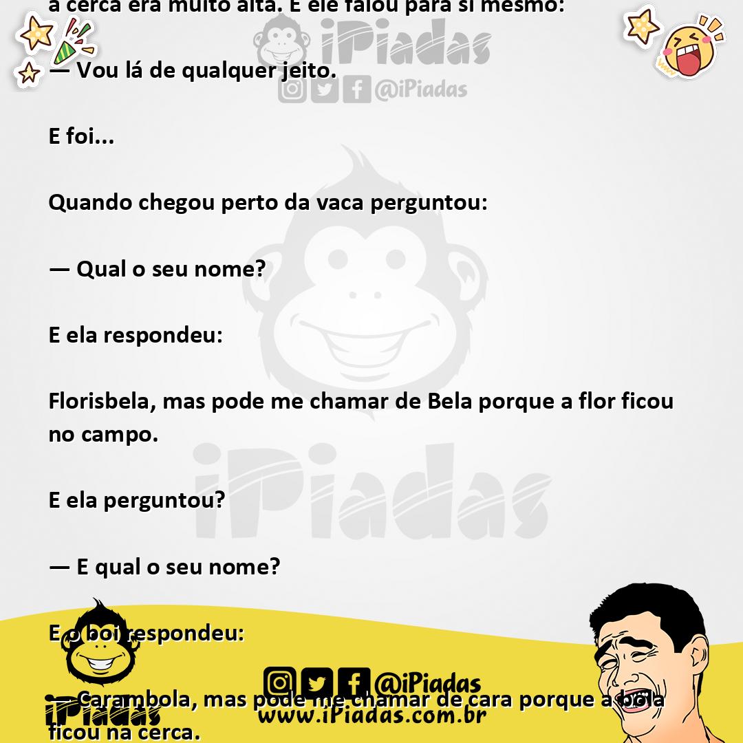 Piado O Passeio da Cachorrinha - Piadas Engraçadas