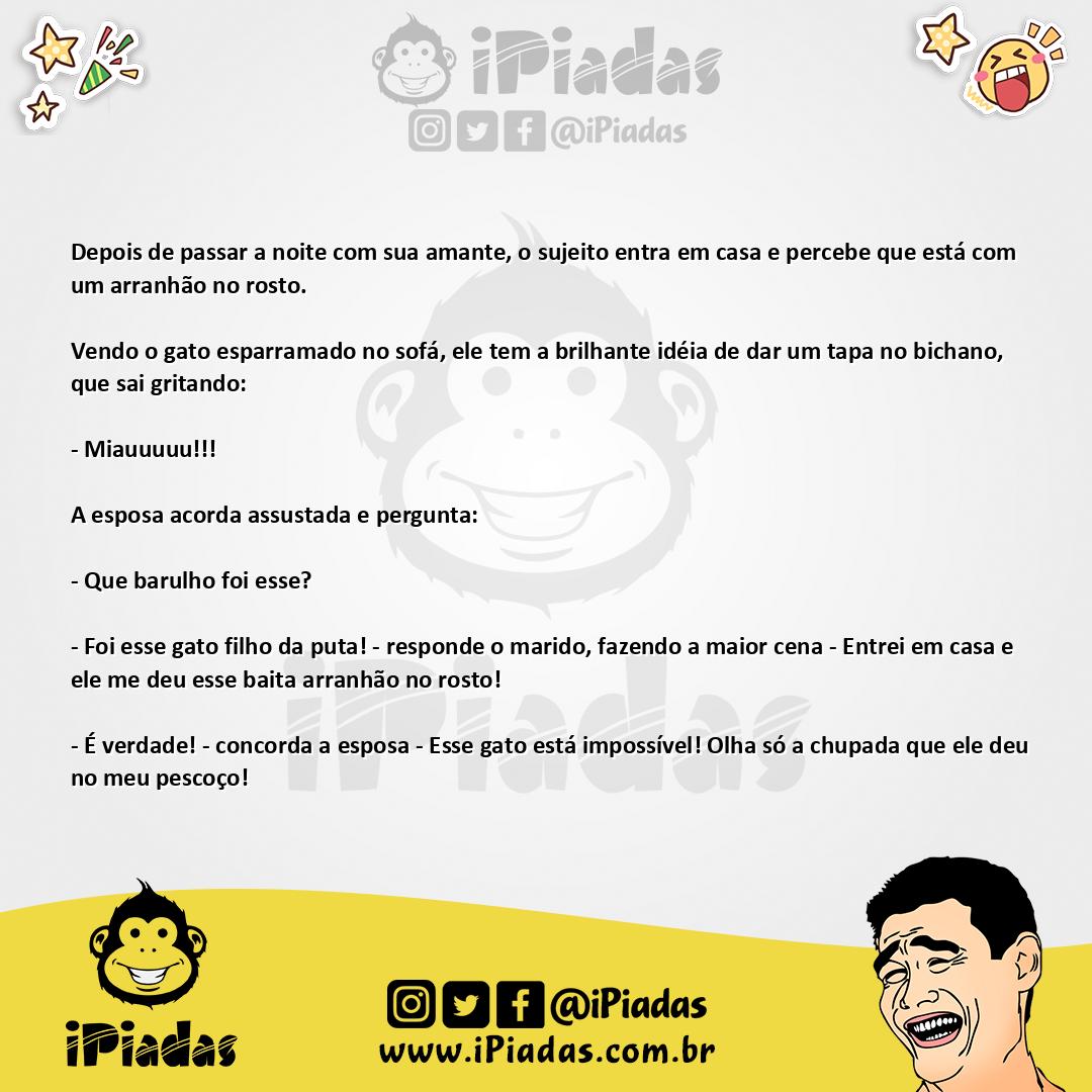 Ilustração da piada Botando a Culpa no Gato no iPiadas