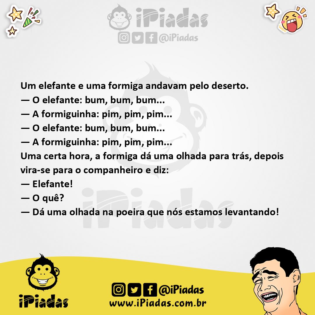 Elefante e a Formiga Elefante e a Formiga